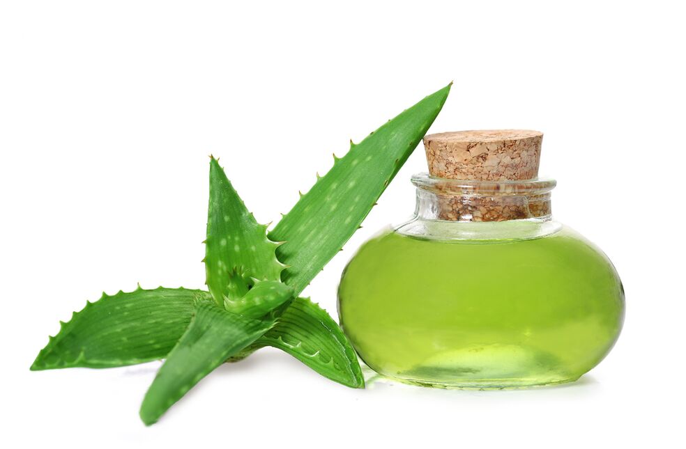 Aloe-Extrakt – Cremezusammensetzung Proctonic